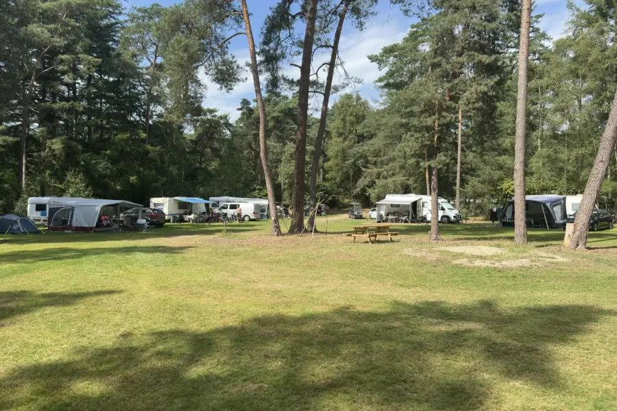 Camping Overijssel Ommerbos 8