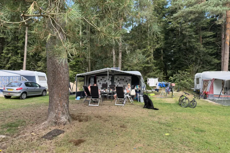 Camping Overijssel Ommerberg 6
