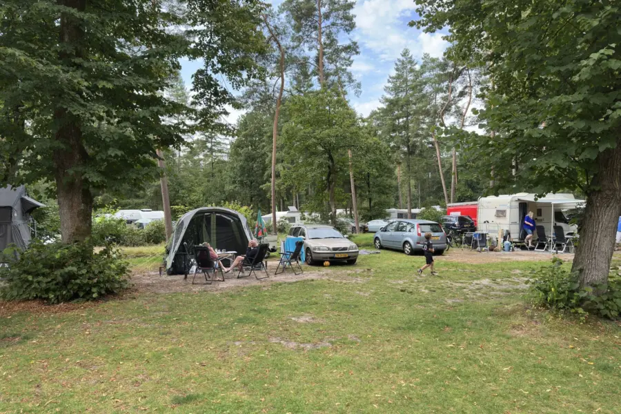 Camping Overijssel Ommerhout 6