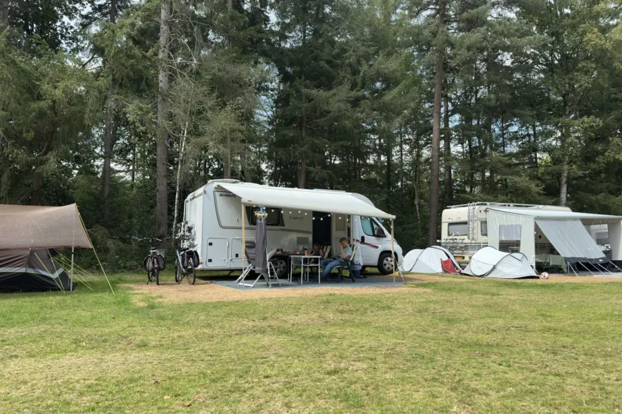 Hondencamping Nederland Ommervallei 38